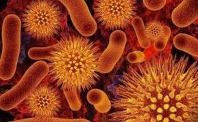 parasito motak giza gorputzean